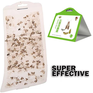 5 Pack Cloth Pantry Food Moth Trap Pheromone Killer Paste Sticky Glue Trap Pest Reject Fly Insects